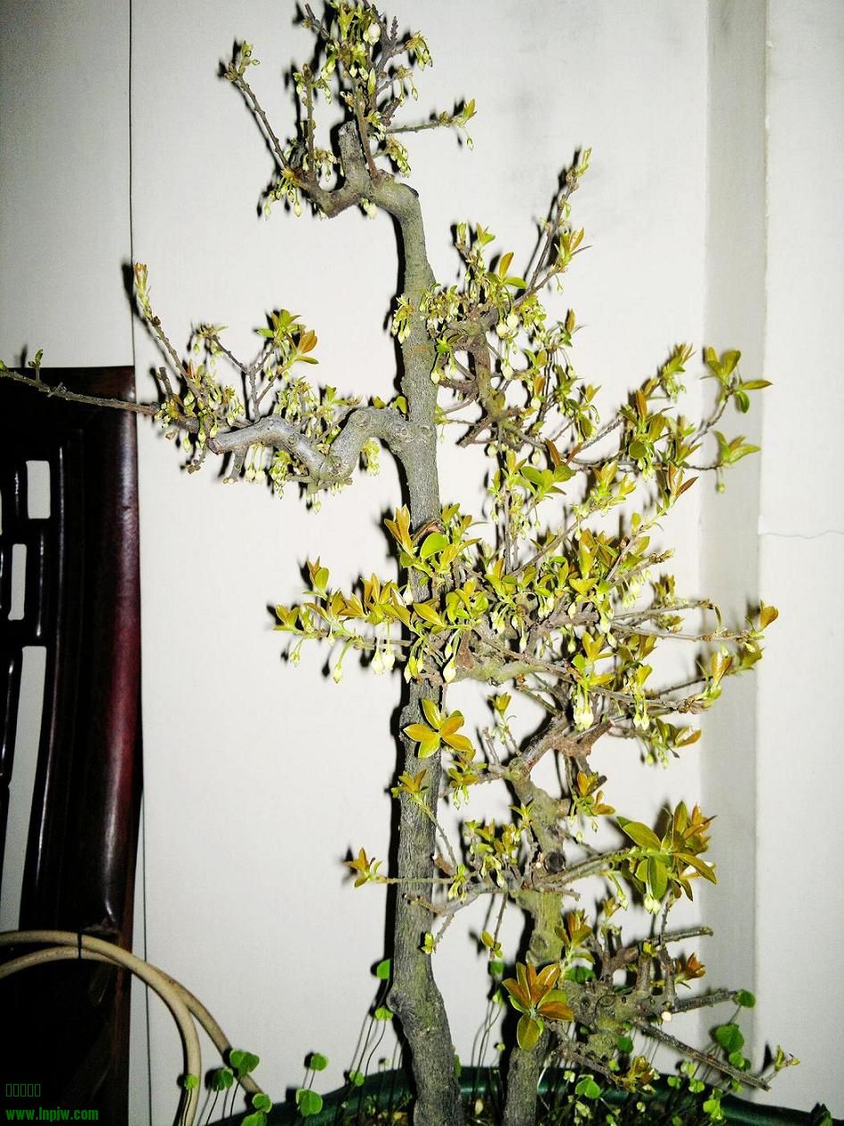 201402101847.jpg