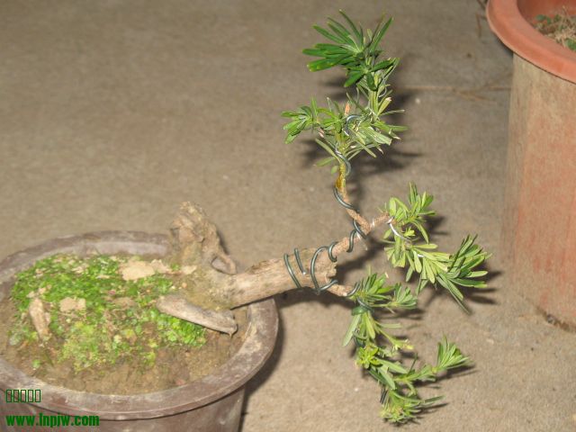 IMG_7599.JPG