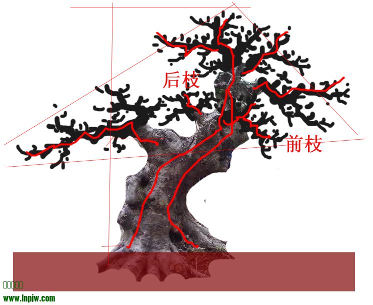 youzh88 3.jpg