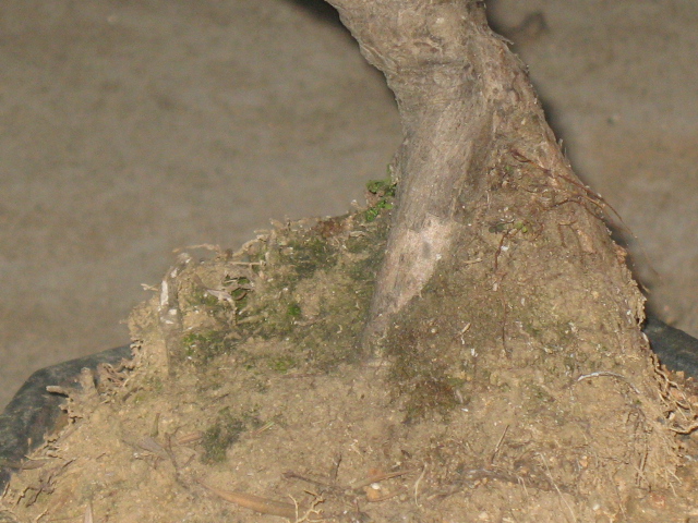 IMG_7606.JPG