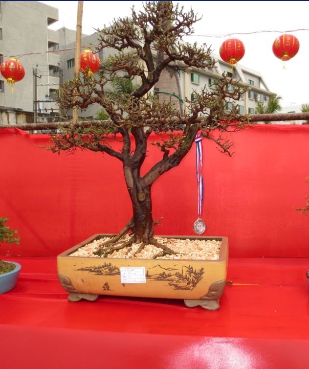QQͼƬ20090908013722.jpg