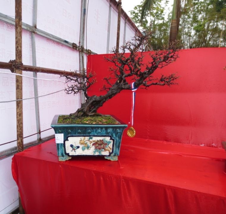 QQͼƬ20090908013639.jpg