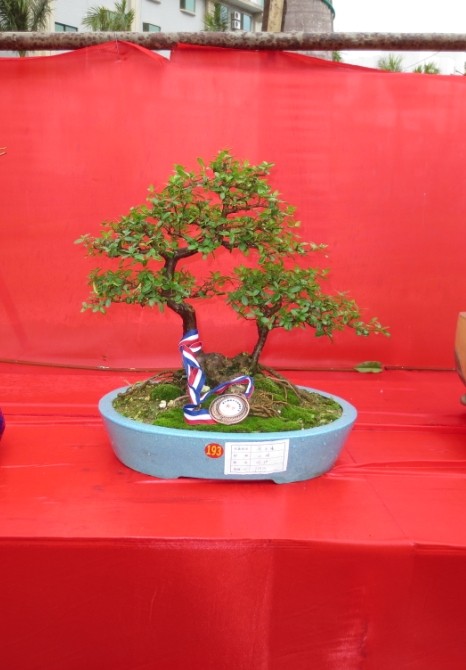 QQͼƬ20090908013632.jpg