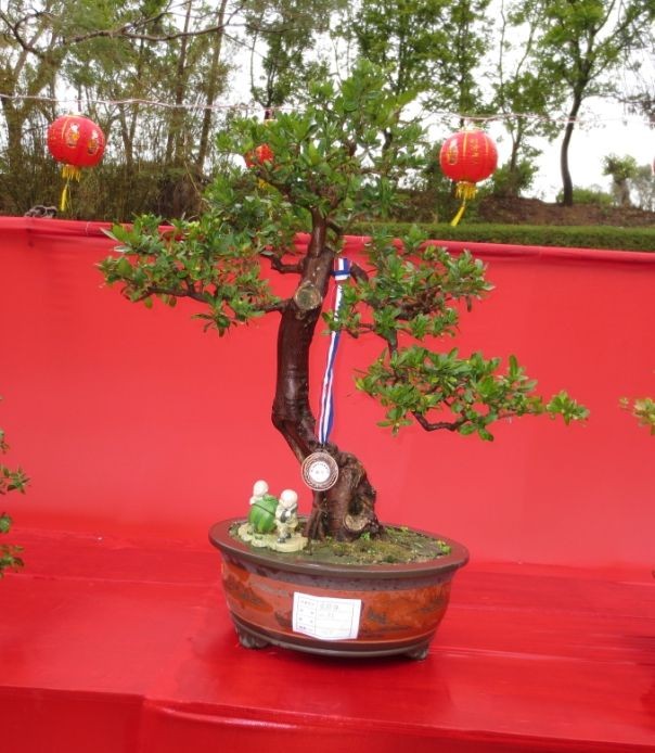 QQͼƬ20090908013542.jpg