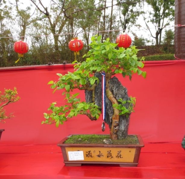 QQͼƬ20090908013531.jpg