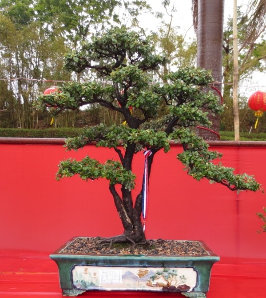 QQͼƬ20090908013459.jpg