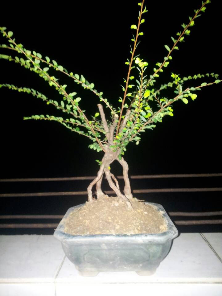 QQͼƬ20140213204720.jpg