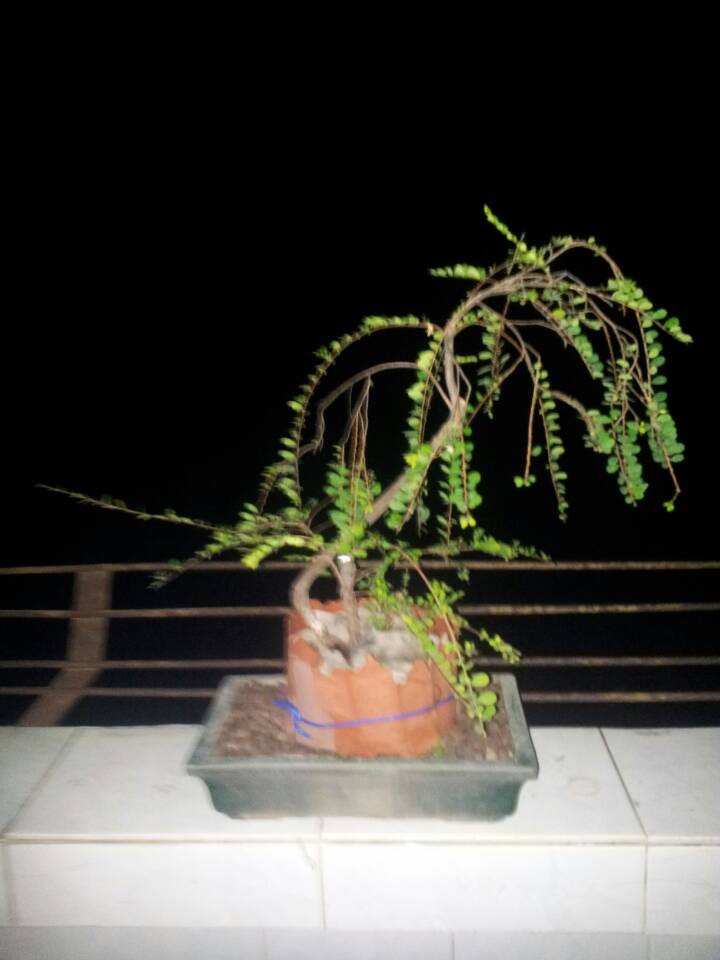 QQͼƬ20140213204746.jpg