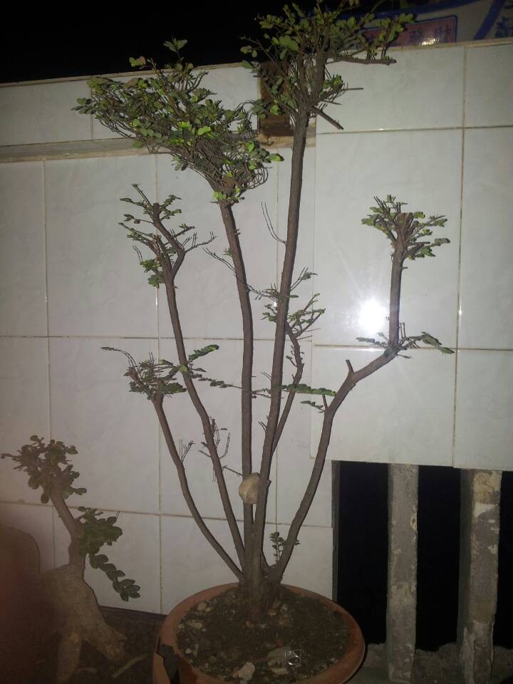 QQͼƬ20140213204734.jpg
