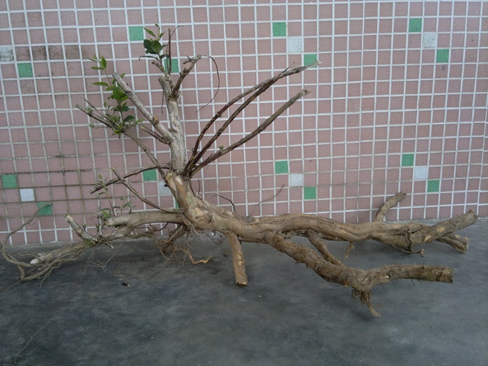 201402111100.jpg