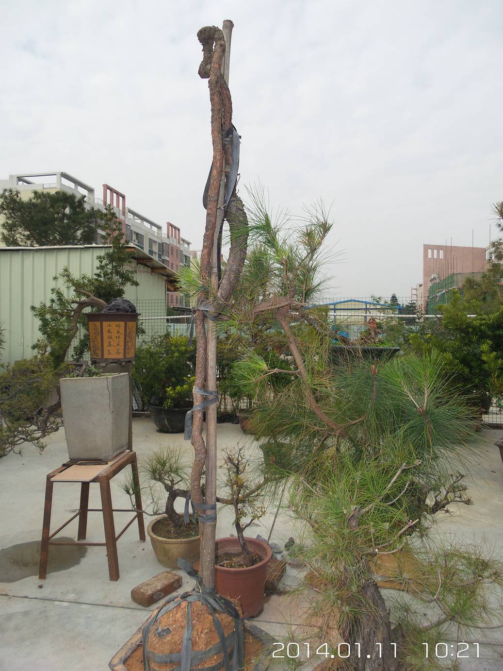 20140111_102101.jpg