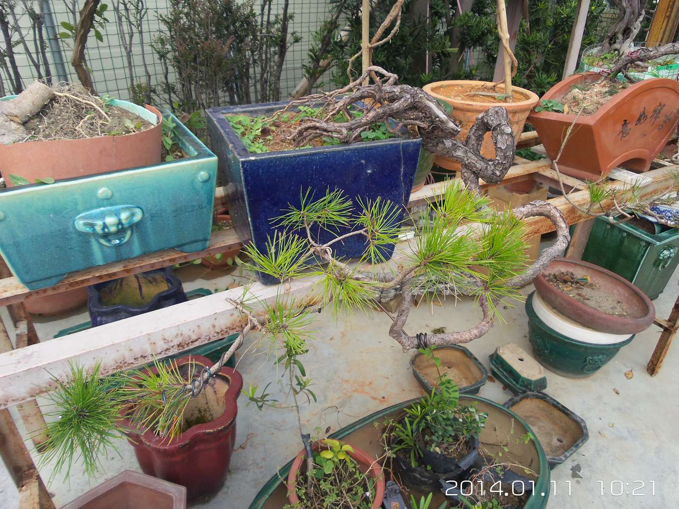 20140111_102138.jpg