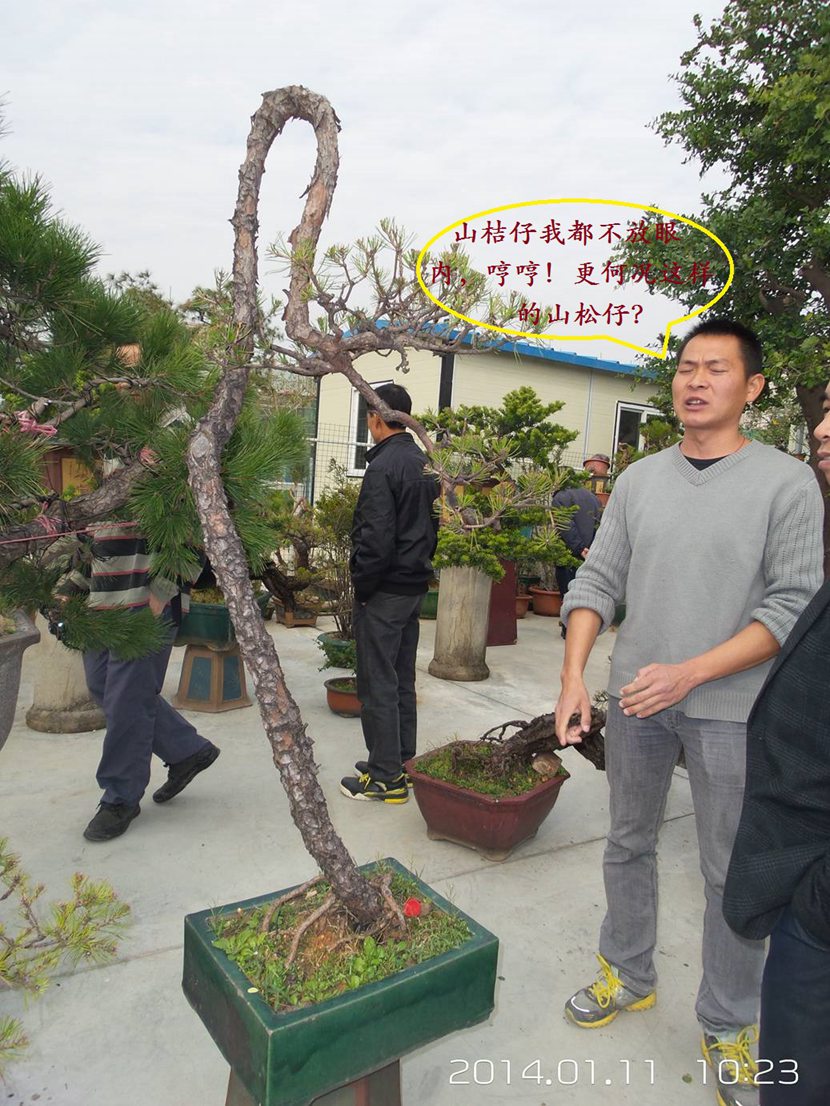 20140111_102350.jpg