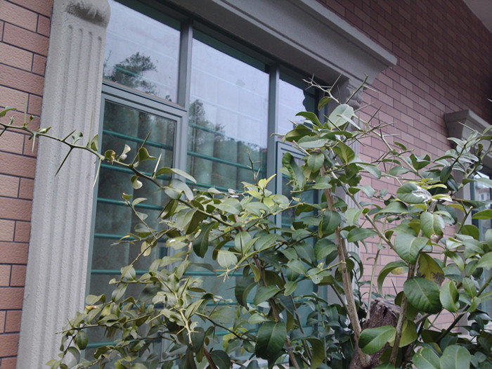 20140211747_.jpg