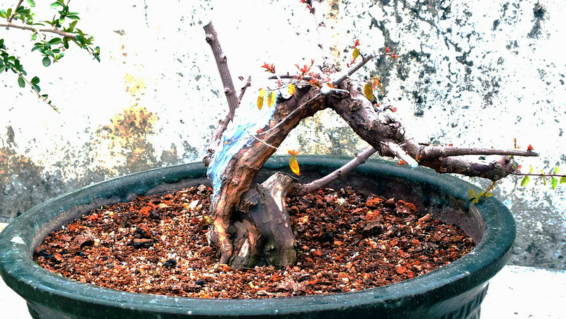 Ƭ 003.jpg