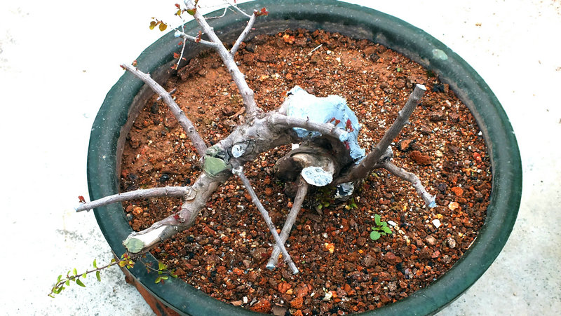 Ƭ 004.jpg