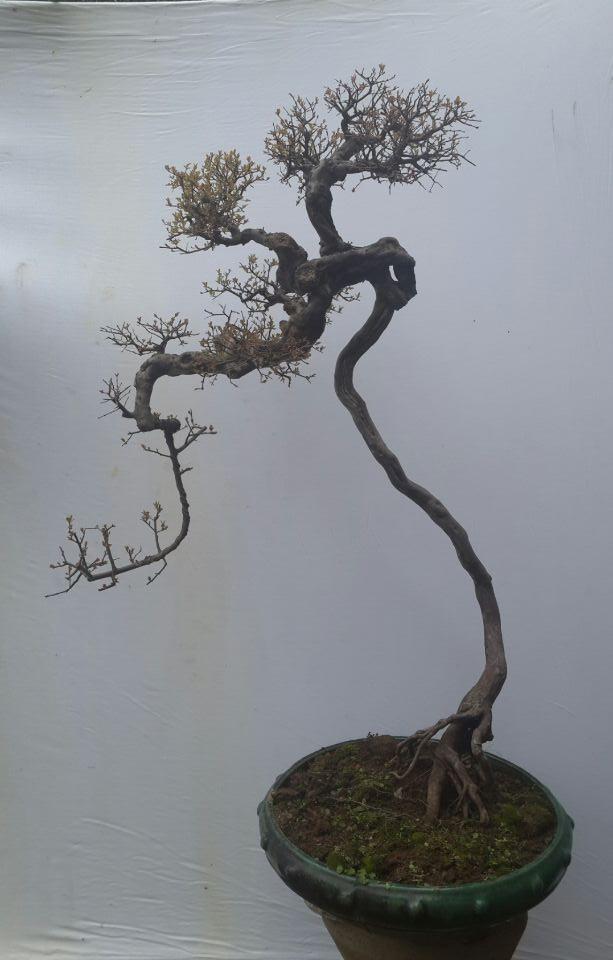 QQͼƬ20140216131419aq.jpg