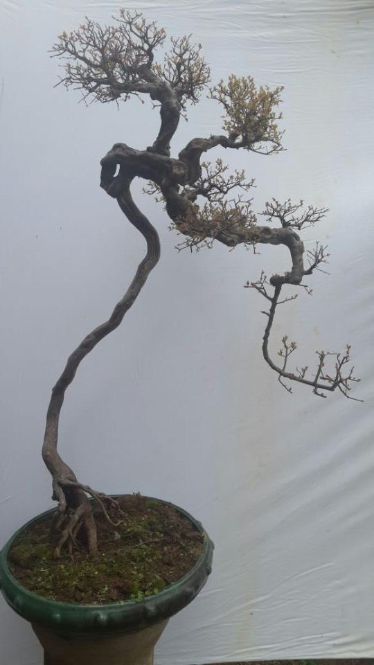 QQͼƬ20140216130705B.jpg