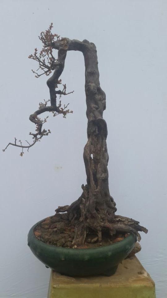 QQͼƬ20140216130545.jpg