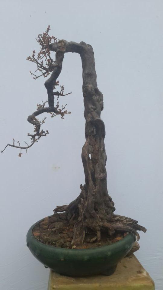 QQͼƬ20140216130557.jpg