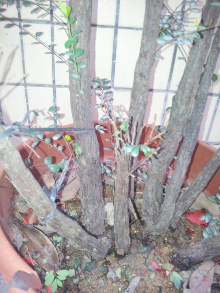 QQͼƬ20140216190107.jpg
