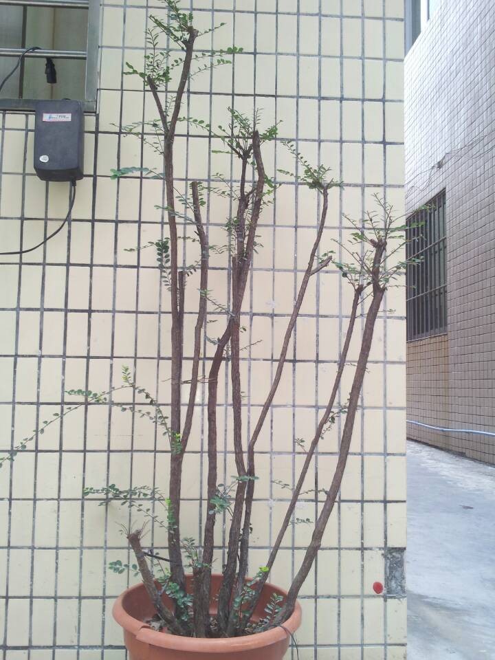 QQͼƬ20140216190136.jpg
