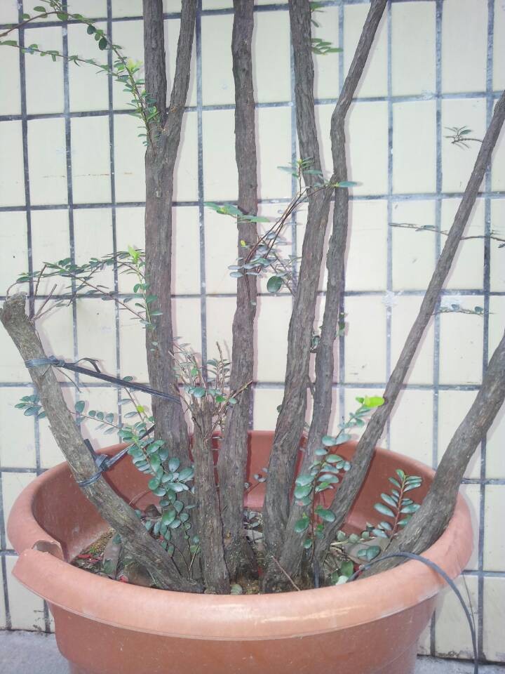 QQͼƬ20140216190144.jpg