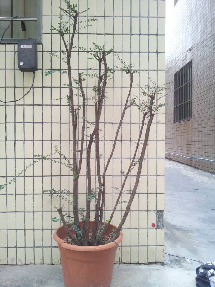 QQͼƬ20140216190150.jpg