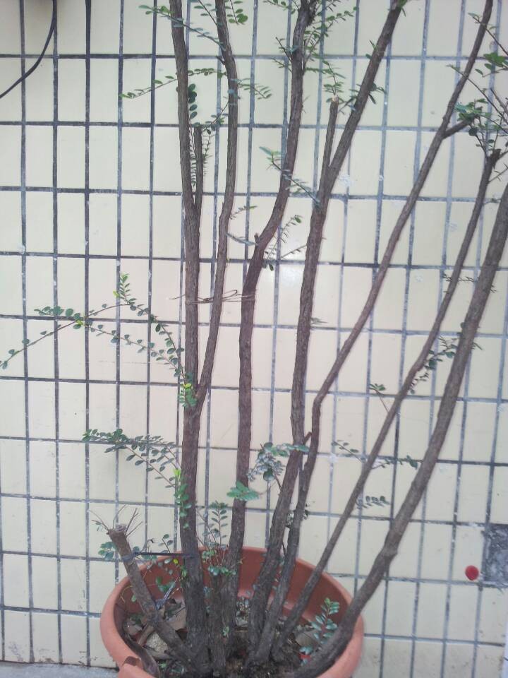 QQͼƬ20140216190157.jpg