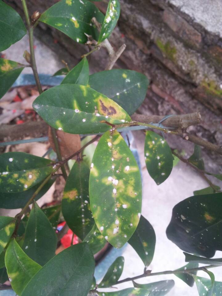 QQͼƬ20140216190204.jpg