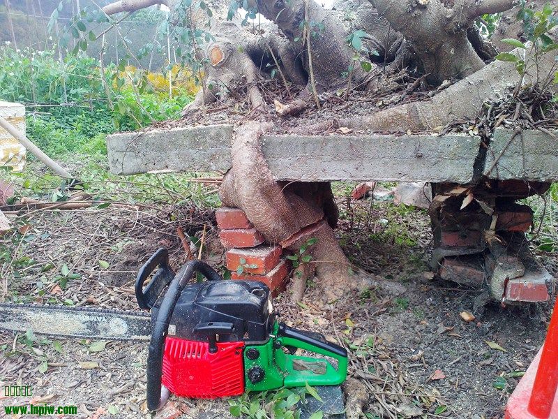 IMG20140211006.jpg