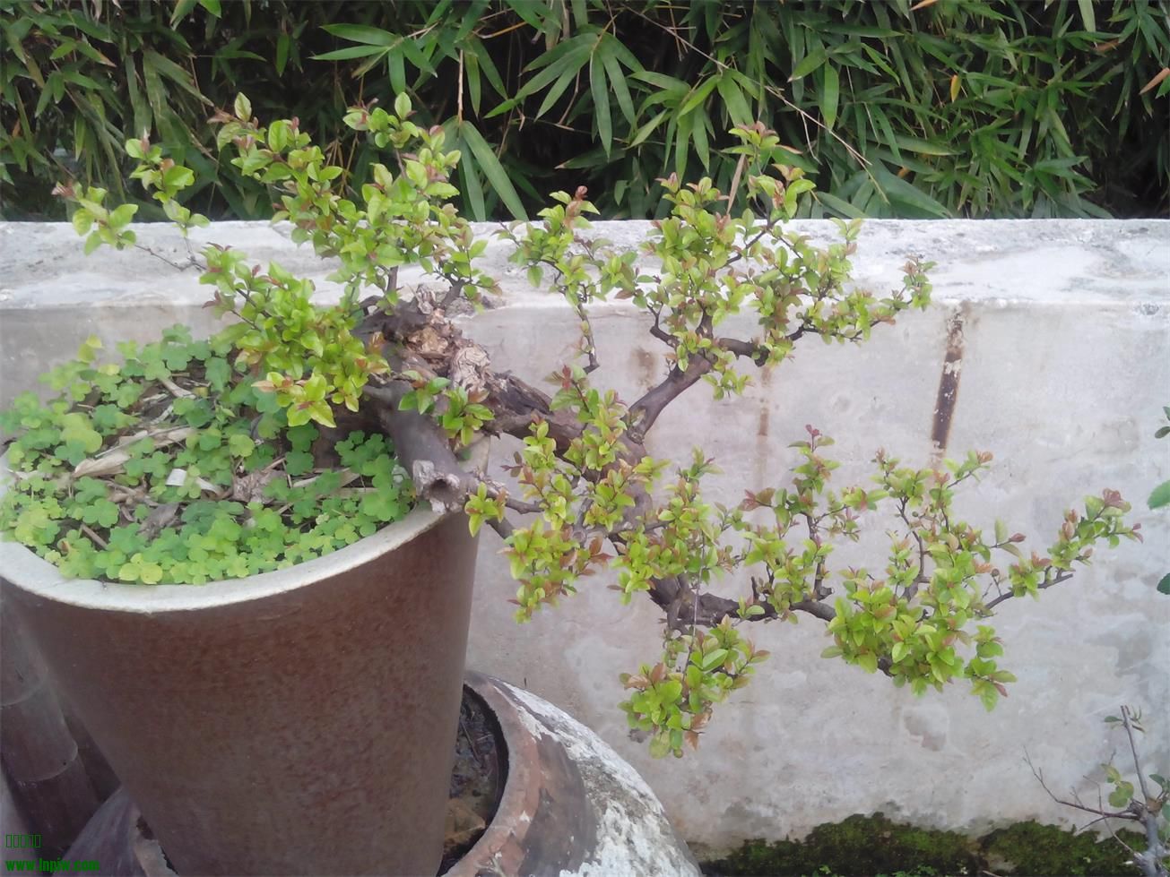 IMG20140207172912.jpg
