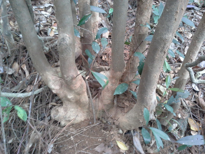 20140216_105541_С.jpg