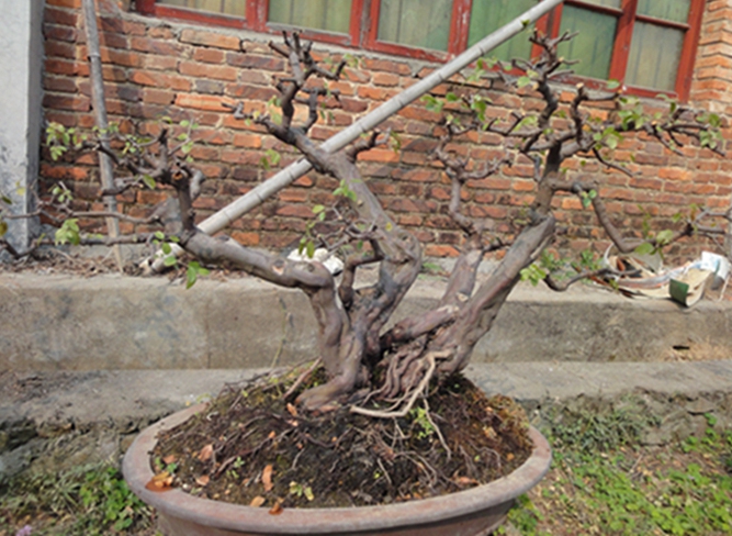 DSC02864.jpg