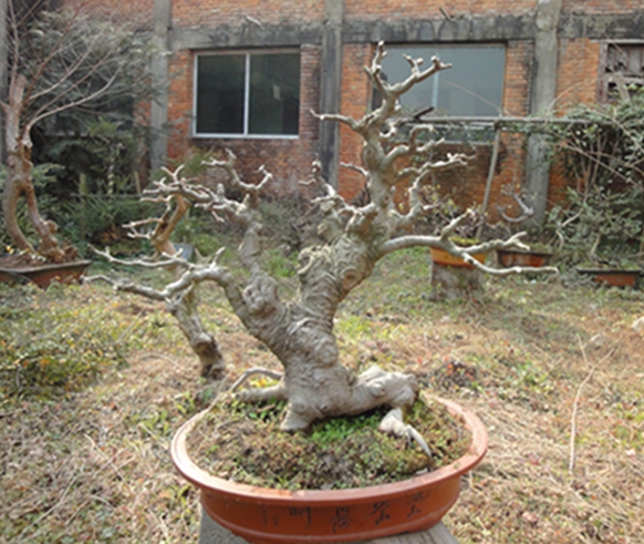 DSC02868.jpg