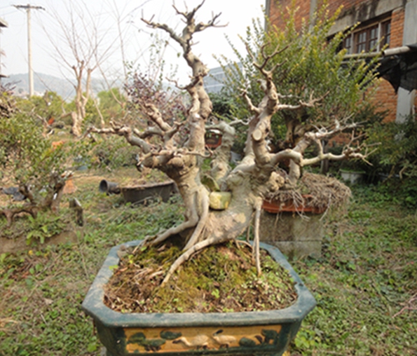 DSC02869.jpg