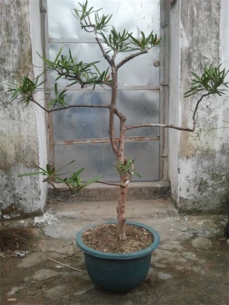 2014-02-16 13.47.33.jpg