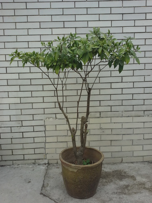 20140218_124145_С.jpg