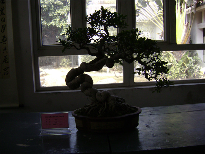 DSC04626.jpg