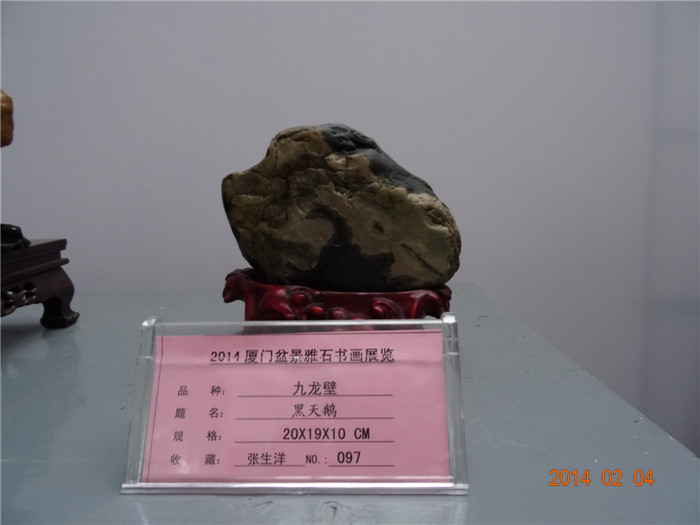 DSC01762.JPG