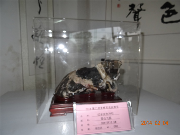 DSC01780.JPG