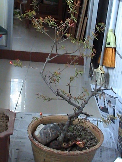 DSC00015.JPG