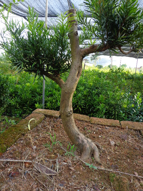 DSC00317.JPG