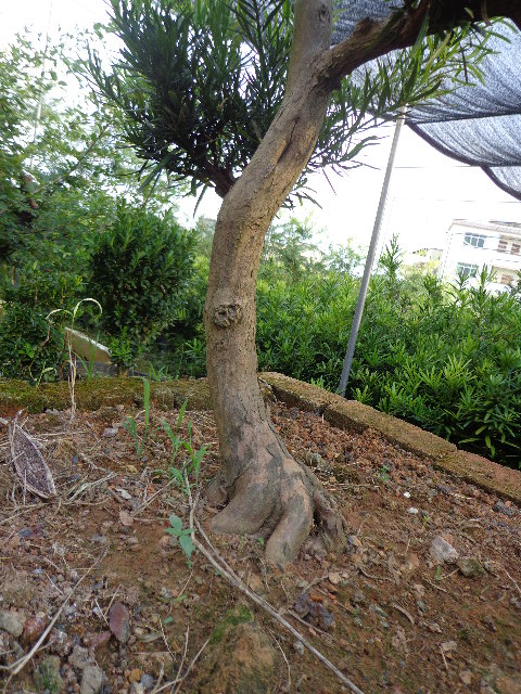 DSC00318.JPG