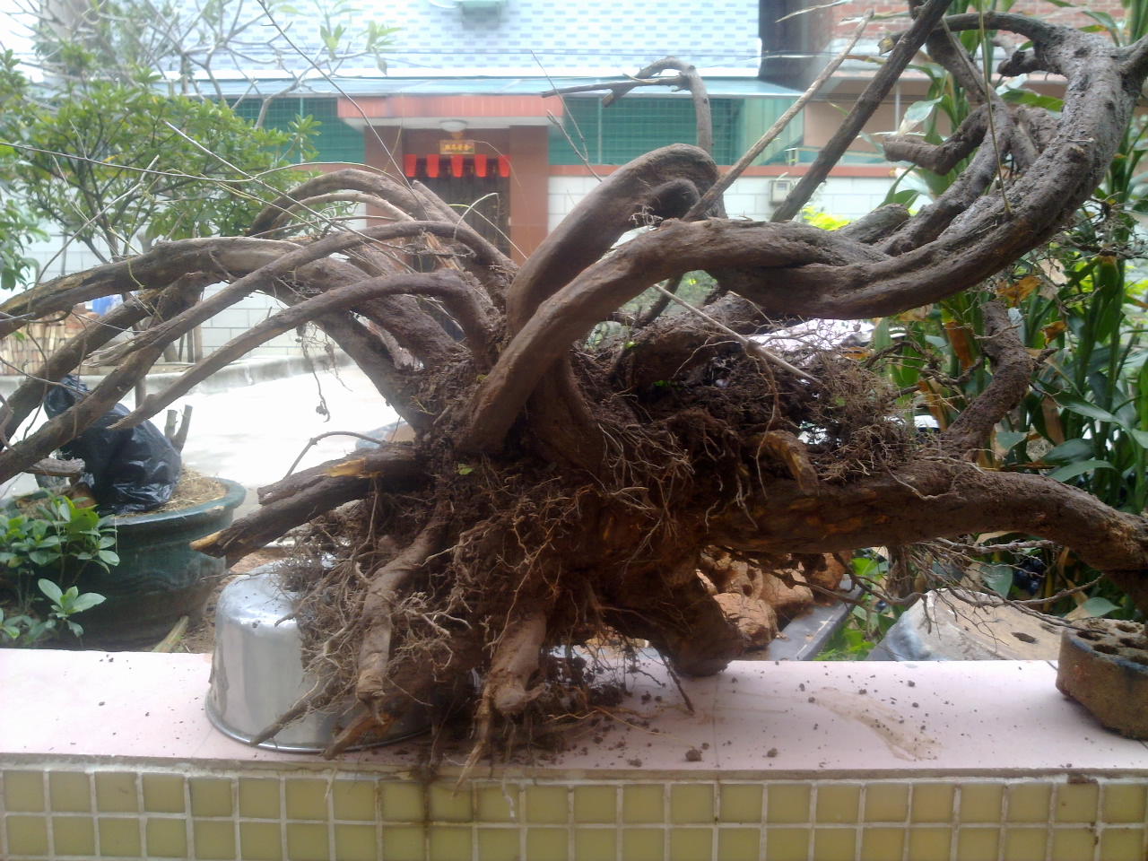 201402191563.jpg