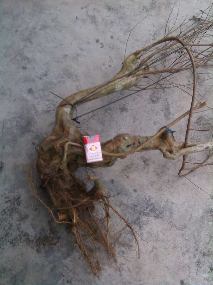 QQͼƬ20140219183753.jpg
