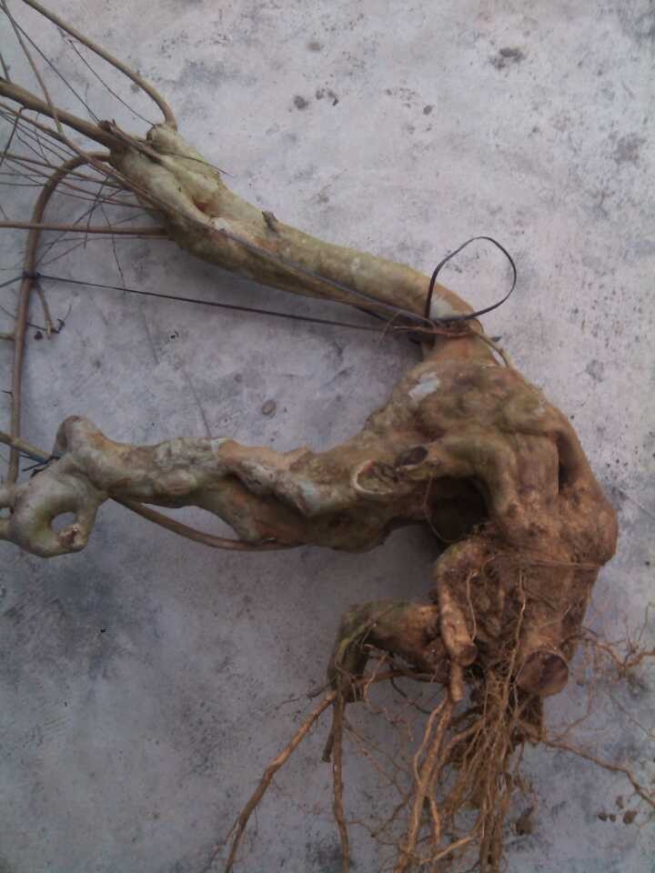 QQͼƬ20140219183804.jpg