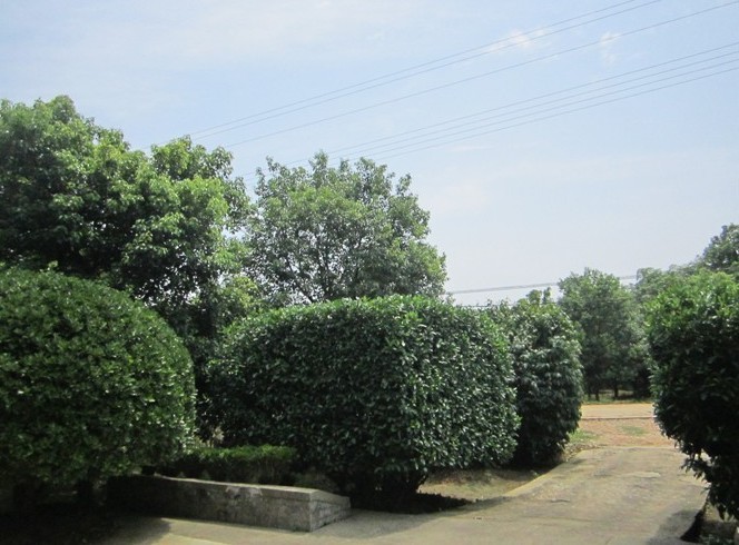 QQͼƬ20140219195927.jpg