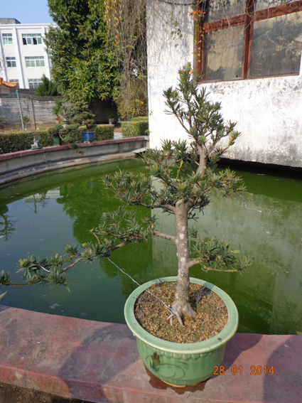 DSC02294.JPG