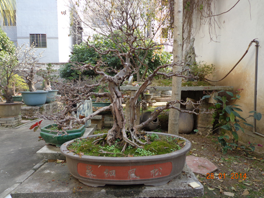 DSC02279.JPG